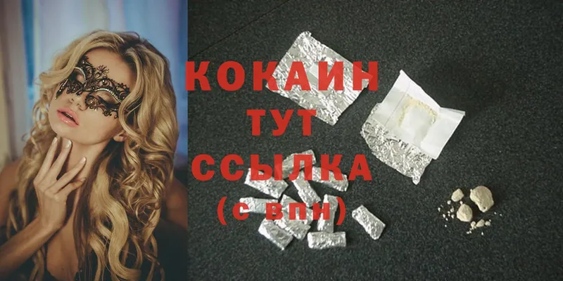 Cocaine FishScale  купить закладку  Камышин 