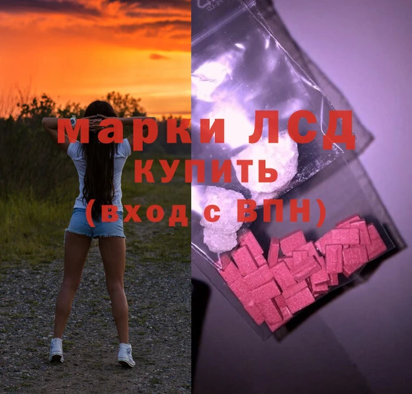 ГАЛЛЮЦИНОГЕННЫЕ ГРИБЫ Костерёво