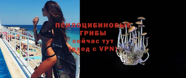 тгк Коряжма