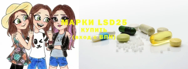 ГАЛЛЮЦИНОГЕННЫЕ ГРИБЫ Костерёво