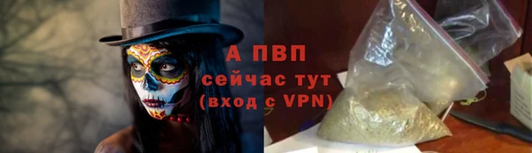 ГАЛЛЮЦИНОГЕННЫЕ ГРИБЫ Костерёво
