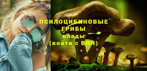 ГАЛЛЮЦИНОГЕННЫЕ ГРИБЫ Костерёво