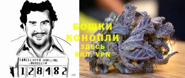 ГАЛЛЮЦИНОГЕННЫЕ ГРИБЫ Костерёво