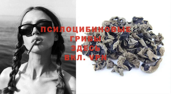 тгк Коряжма