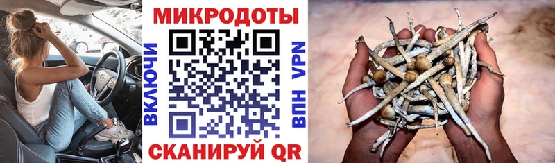 Галлюциногенные грибы ЛСД Камышин