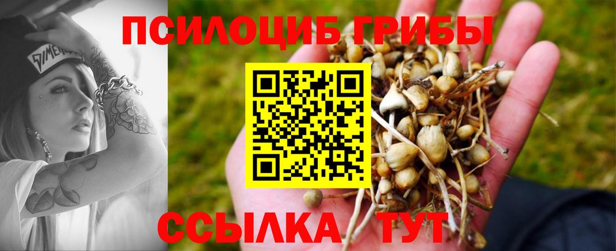 Камышин  Галлюциногенные грибы Magic Shrooms  Вход с VPN  Псилоцибиновые грибы Cubensis 